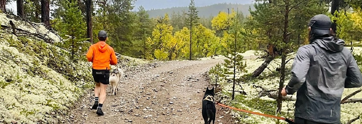 Fellestrening Canicross